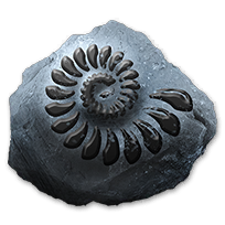 misc_ammonitefossils