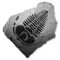 misc_anthropodfossils