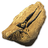 misc_aquaticmammalfossils