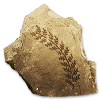 misc_aquaticplantfossils