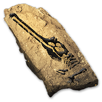 misc_crurotarsansfossils