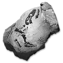 misc_cynodontfossils