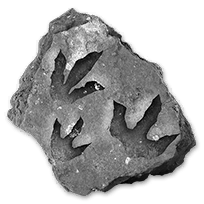 misc_dinosaurfootprints