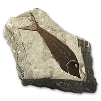 misc_fishfossils