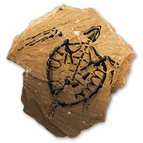 misc_turtlefossils