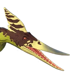 Pteranodon