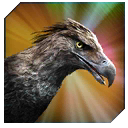 haast_eagle