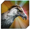 haast_eagle