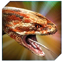 titanoboa_gen_2