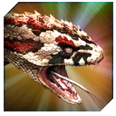 titanoboa_gen_2