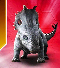 spinotops