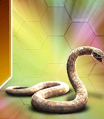 titanoboa_gen_2