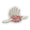 faux_ribcage_small