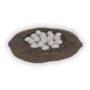 nest_medium