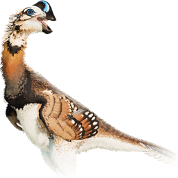 Oviraptor