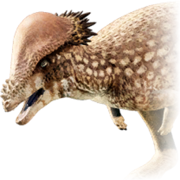 Pachycephalosaurus