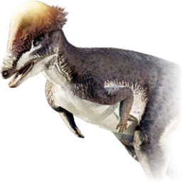 Pachycephalosaurus