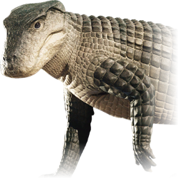 simosuchus_clarki