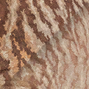 brontosaurus_excelsus