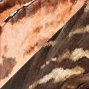 dilophosaurus_wetherilli
