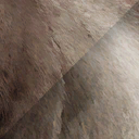 megaloceros_giganteus