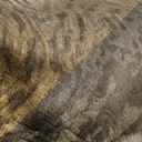 tyrannosaurus_rex