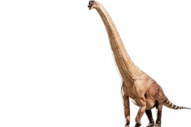giraffatitan_brancai