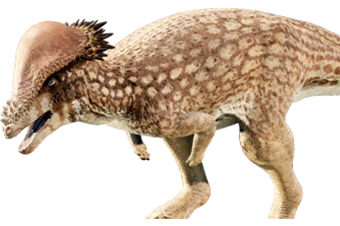 pachycephalosaurus_spinifer