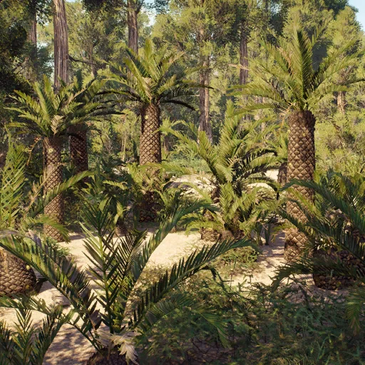 cycadeoidea