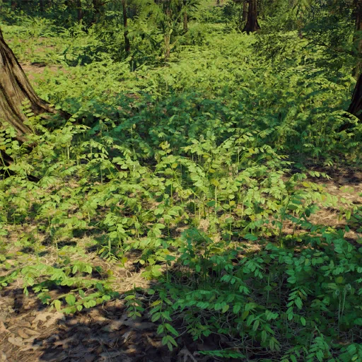 hydropteris