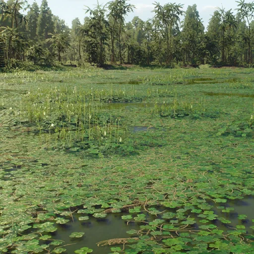 marsilea