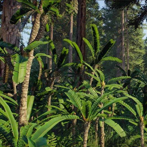 nilssonia
