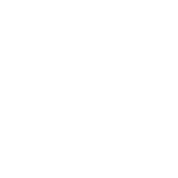 Amphibisch