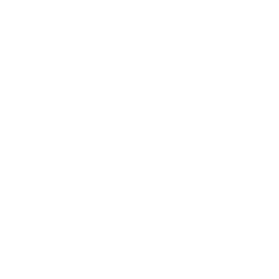 陆栖